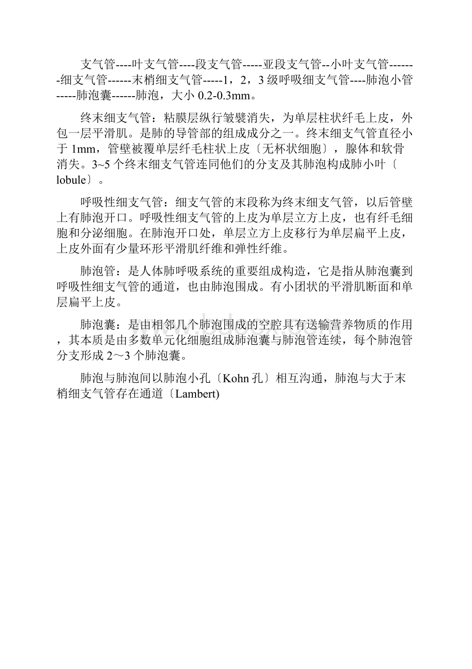 有关肺部正常解剖的术语.docx_第2页