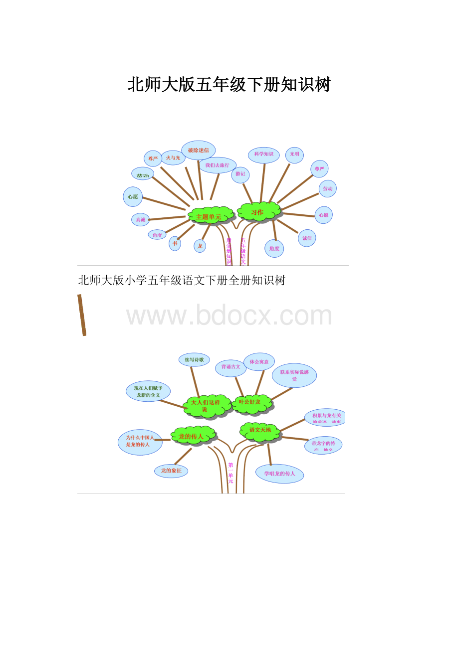 北师大版五年级下册知识树.docx