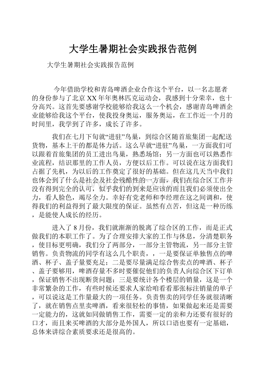 大学生暑期社会实践报告范例.docx