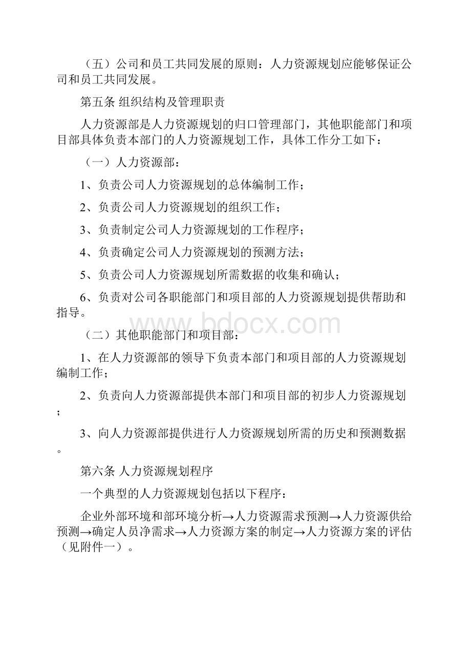 湖北新长江人资源规划制度北大纵横.docx_第3页