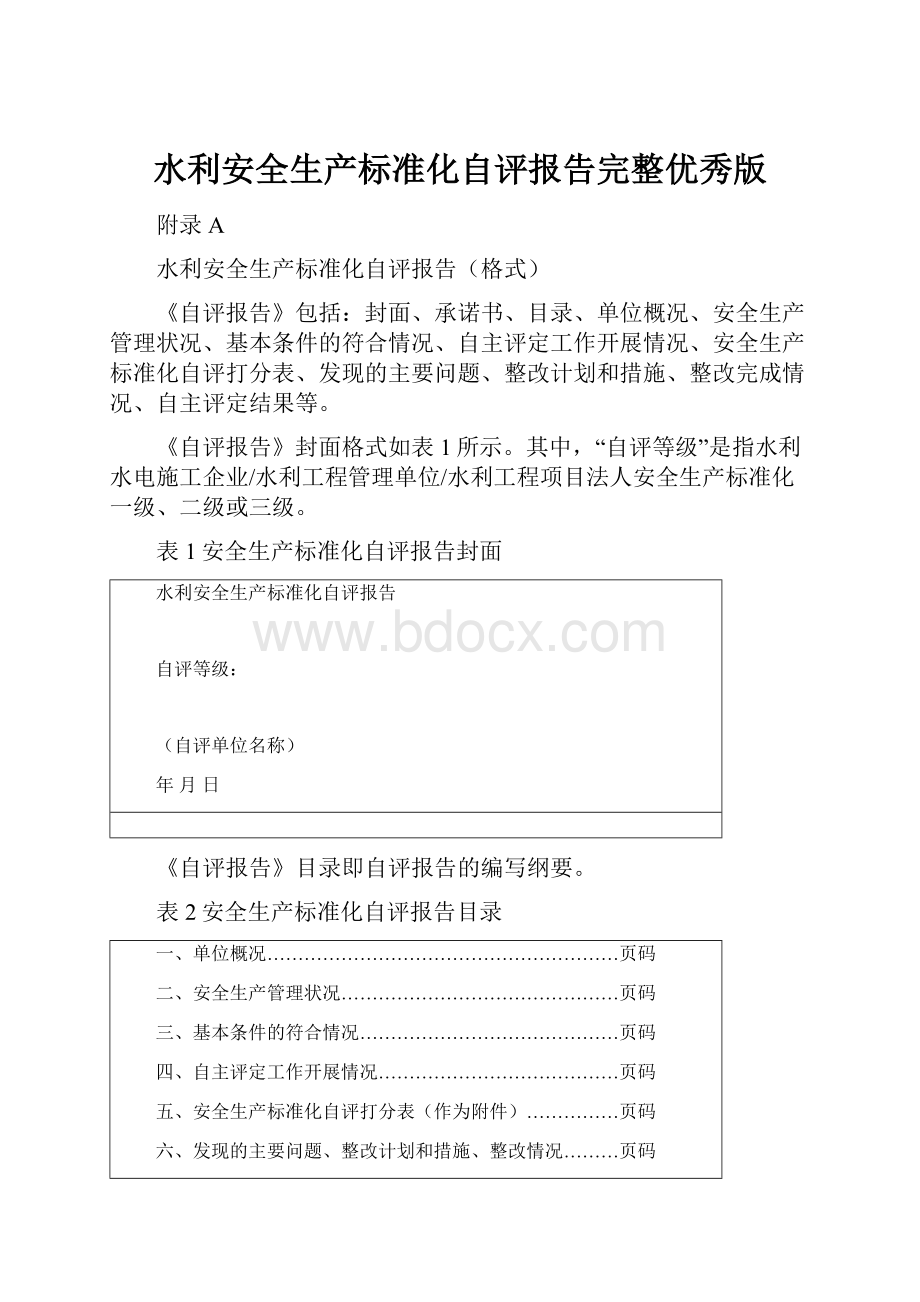 水利安全生产标准化自评报告完整优秀版.docx