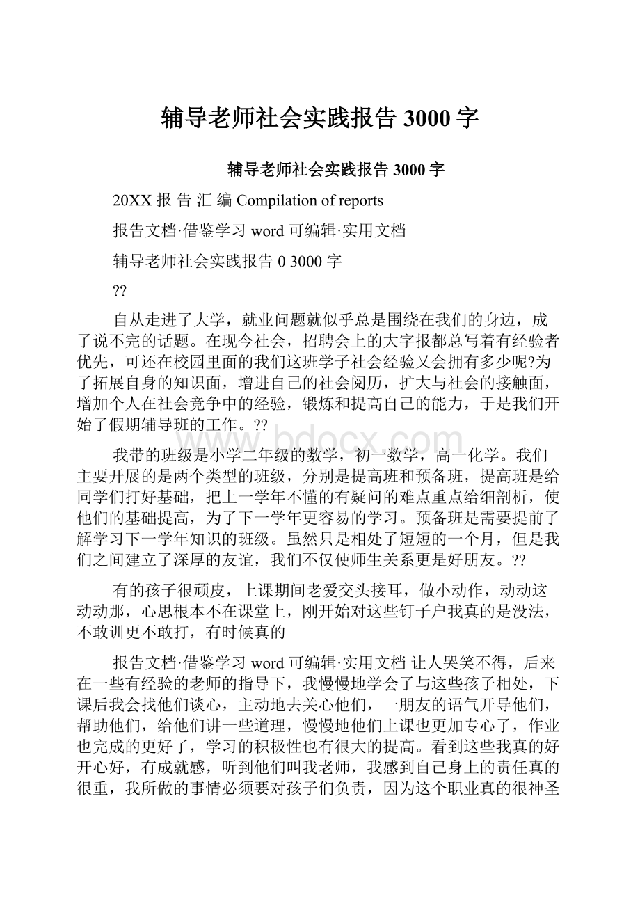 辅导老师社会实践报告3000字.docx