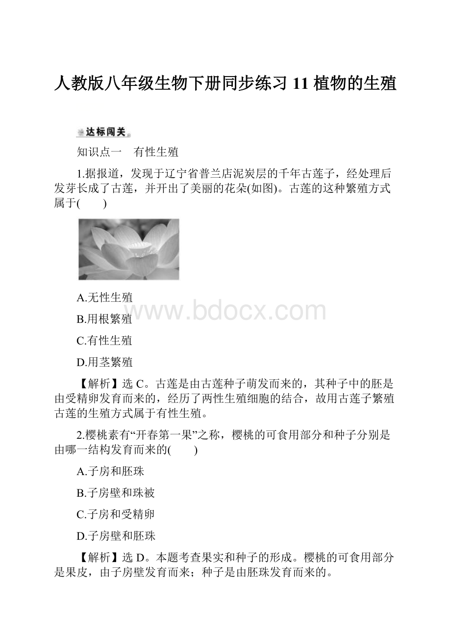 人教版八年级生物下册同步练习11 植物的生殖.docx