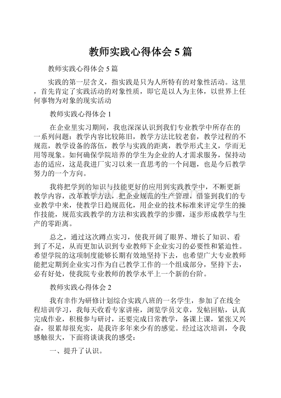 教师实践心得体会5篇.docx