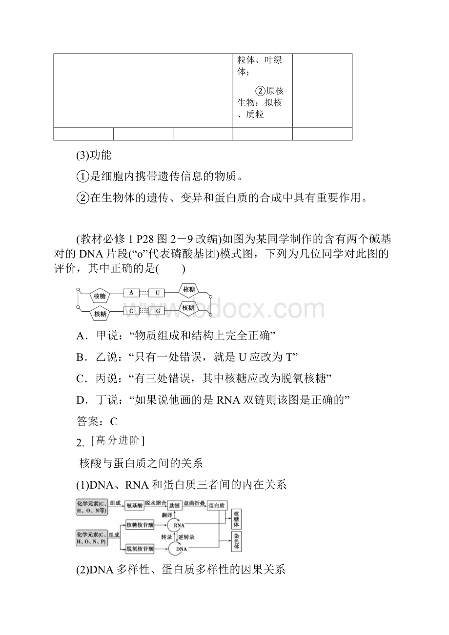 人教版届高考生物一轮复习 第一单元第4讲 遗传信息的携带者核酸 细胞中的糖类和脂质学案.docx_第3页