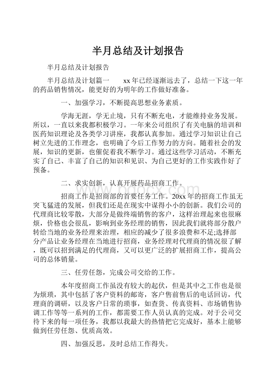 半月总结及计划报告.docx