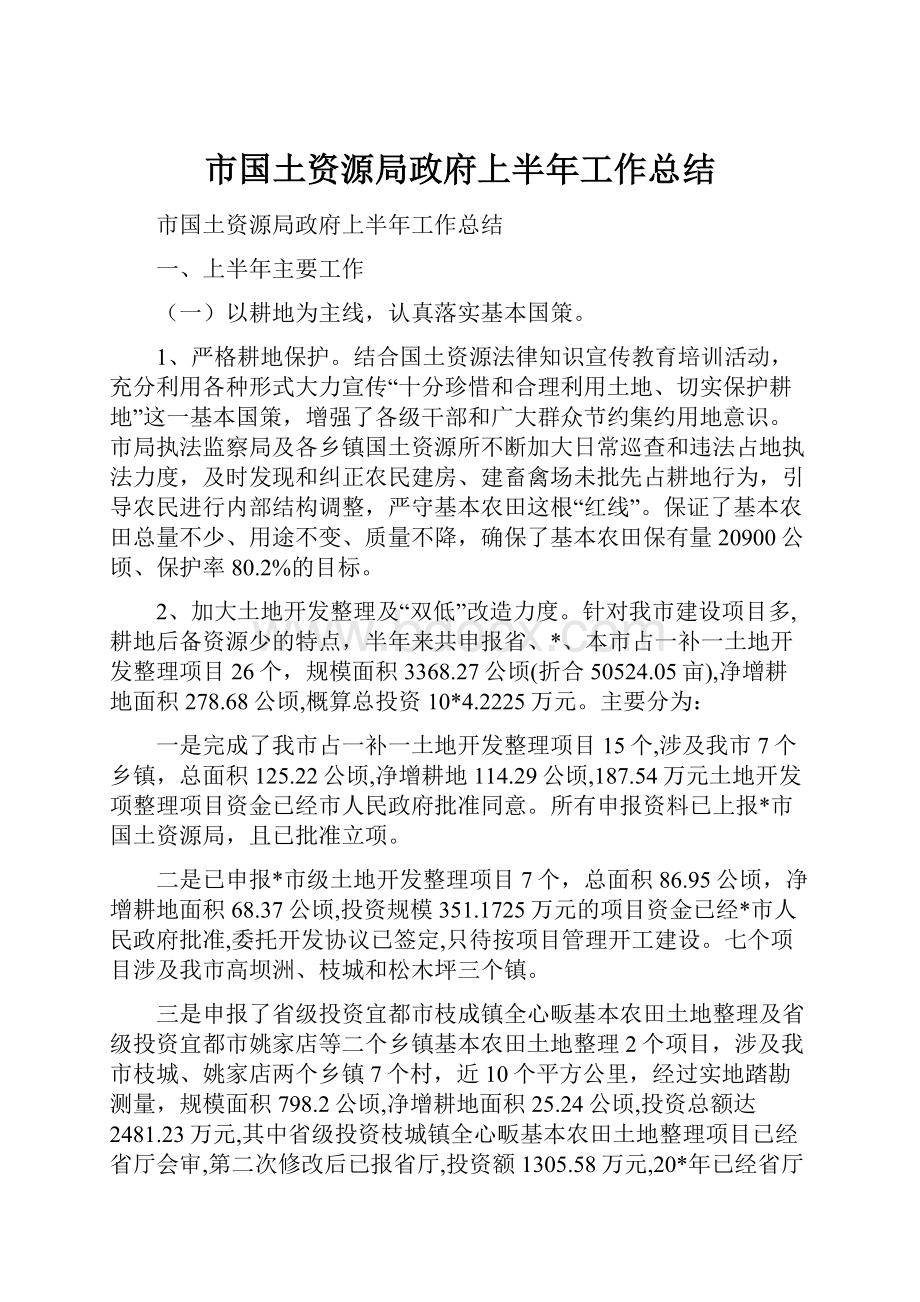 市国土资源局政府上半年工作总结.docx_第1页