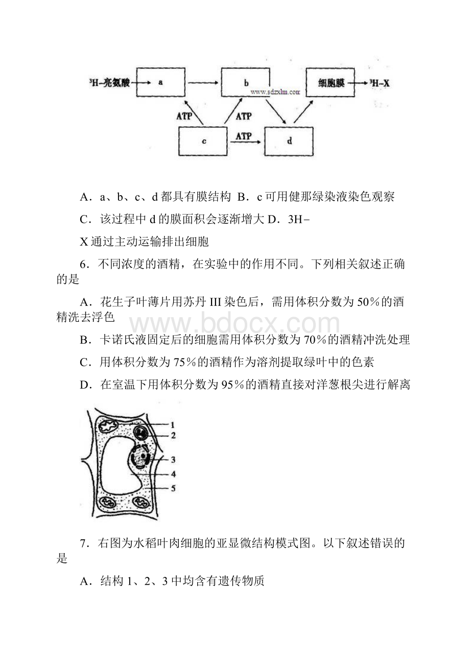 山东省临沂市届高三上学期期中考试生物试题资料.docx_第3页