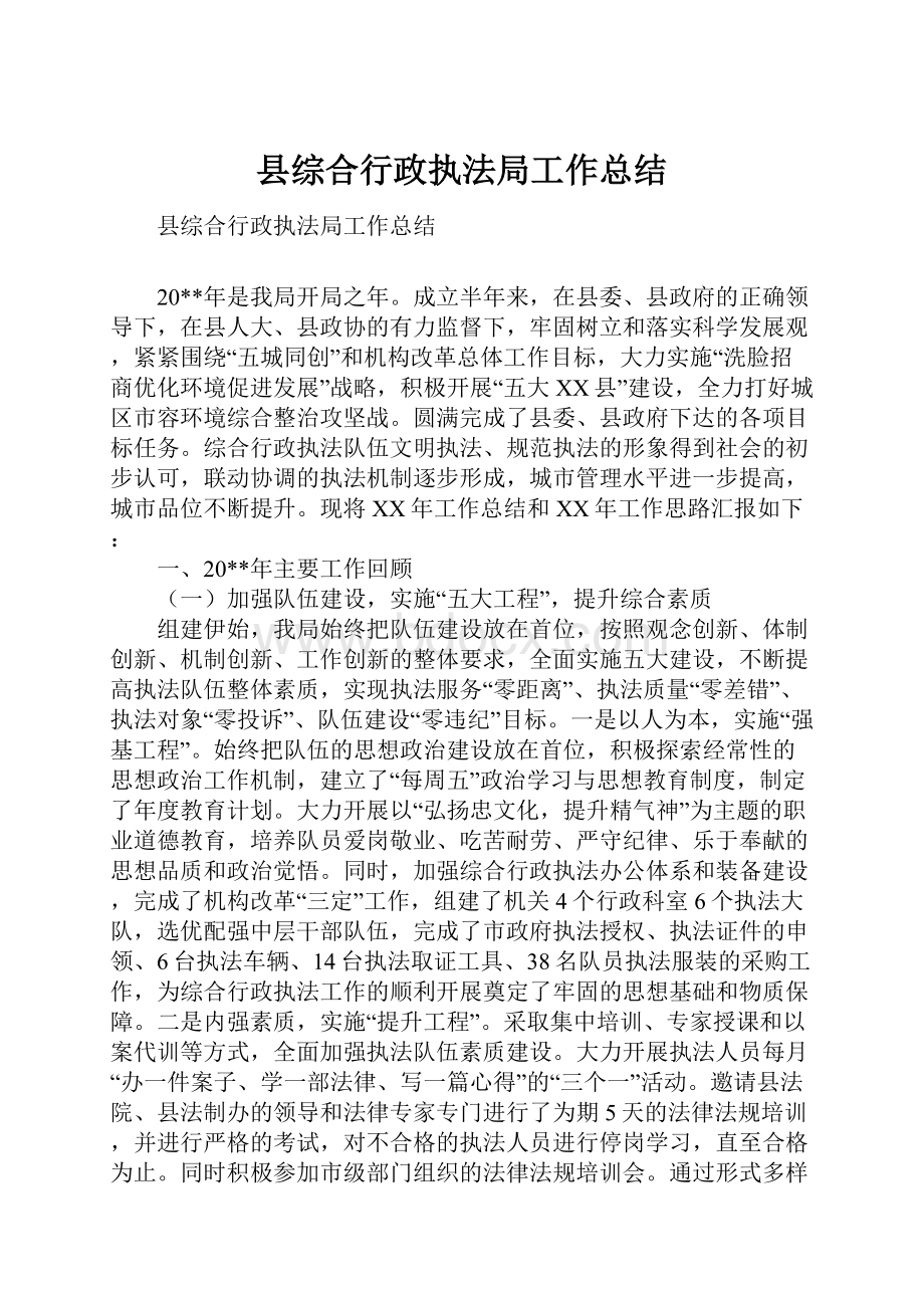 县综合行政执法局工作总结.docx