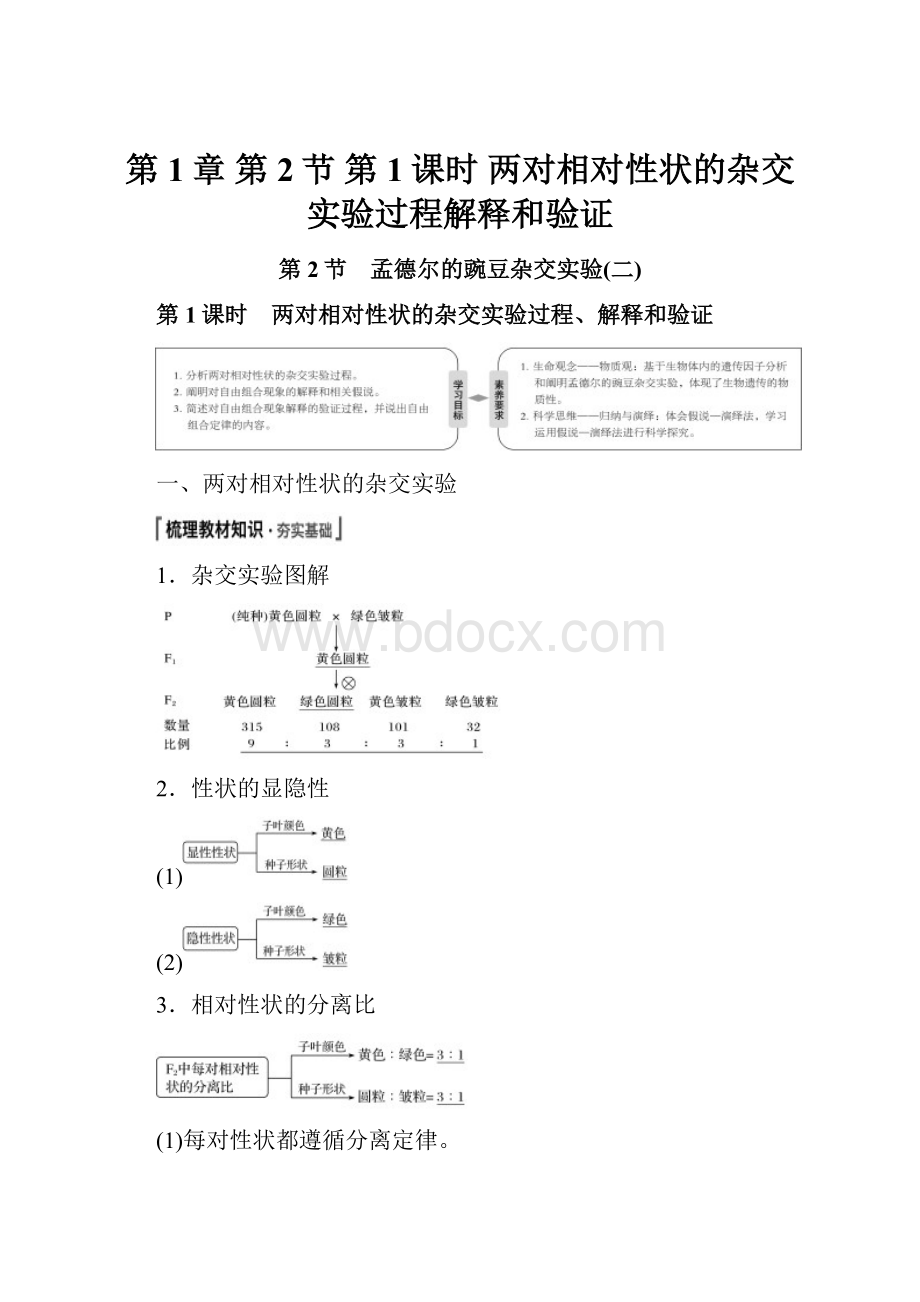 第1章 第2节 第1课时 两对相对性状的杂交实验过程解释和验证.docx