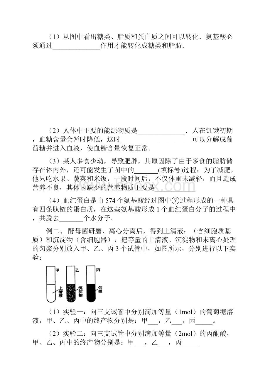 高考生物二轮复习之人和动物的新陈代谢.docx_第3页