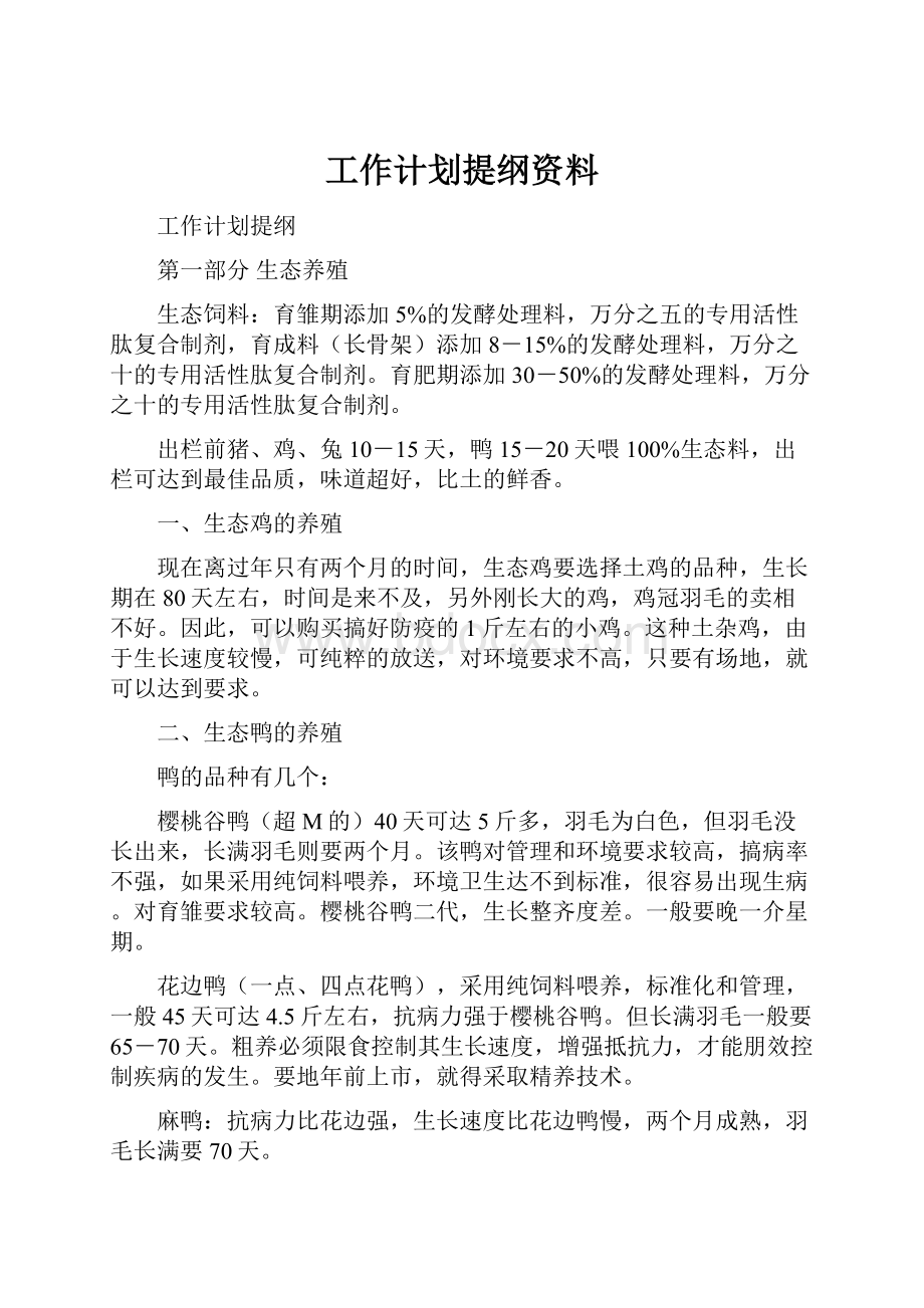 工作计划提纲资料.docx