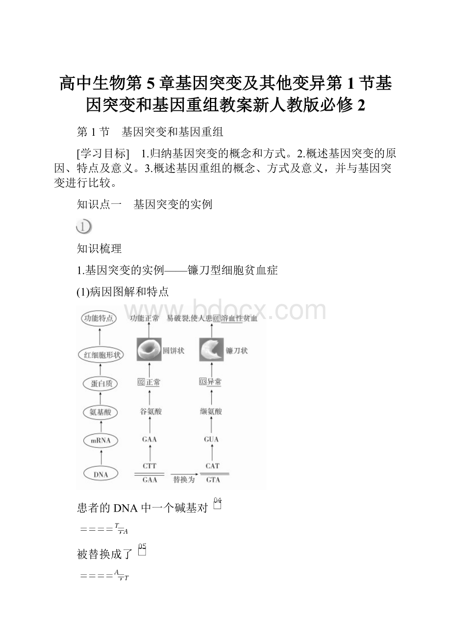 高中生物第5章基因突变及其他变异第1节基因突变和基因重组教案新人教版必修2.docx_第1页