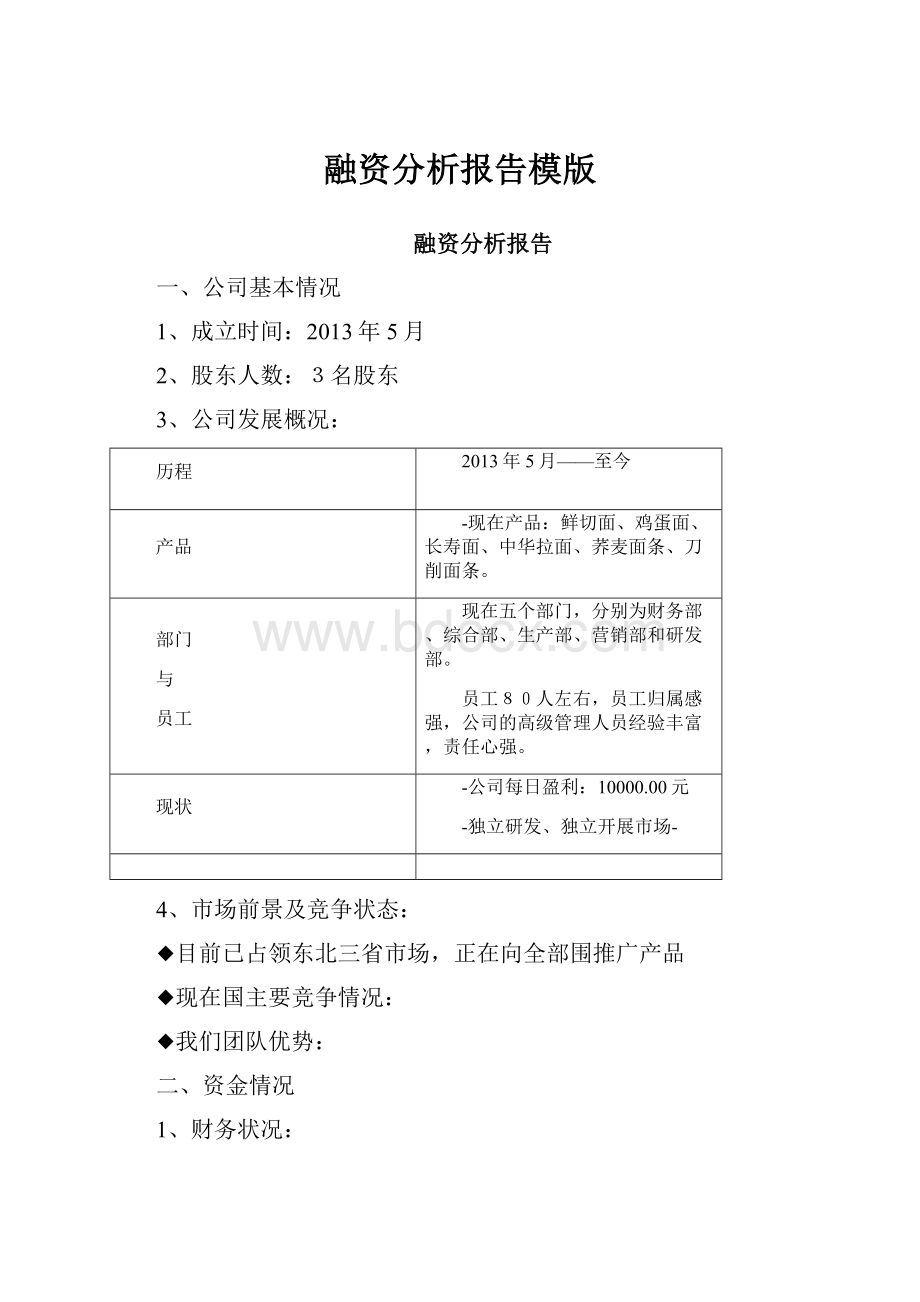 融资分析报告模版.docx