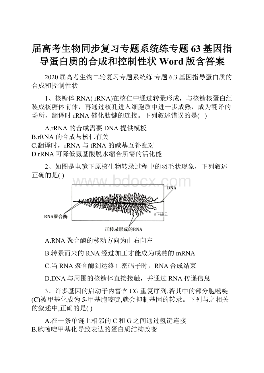 届高考生物同步复习专题系统练专题63基因指导蛋白质的合成和控制性状Word版含答案.docx