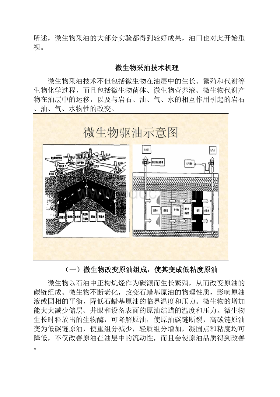 微生物采油.docx_第3页