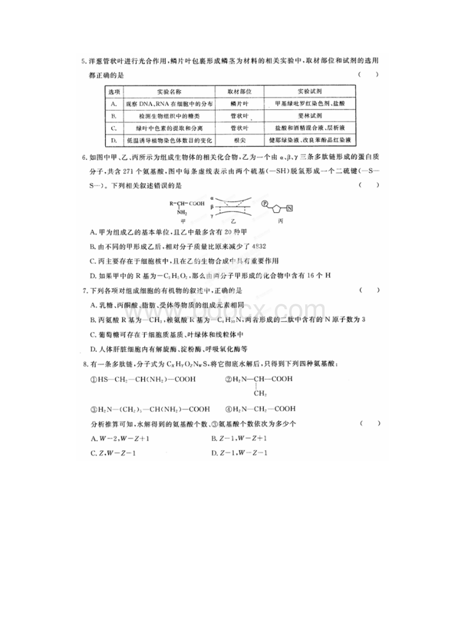 河北省衡水中学届高三生物上学期期中试题.docx_第2页