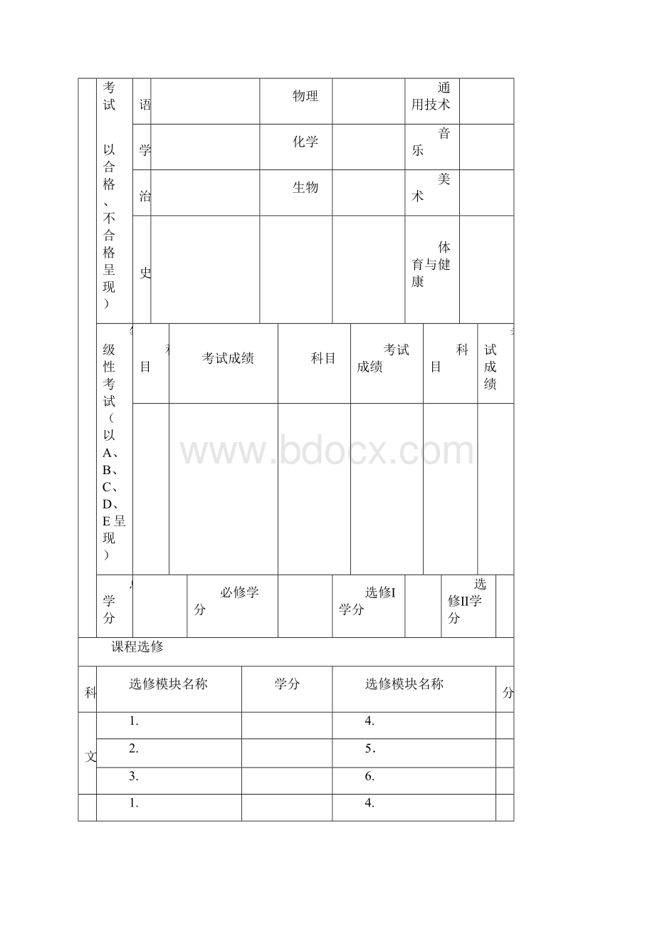 四川普通高中学生综合素质档案.docx_第2页