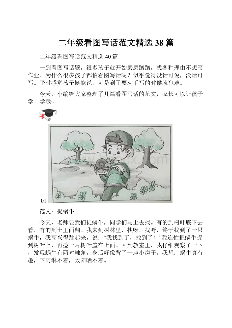 二年级看图写话范文精选38篇.docx