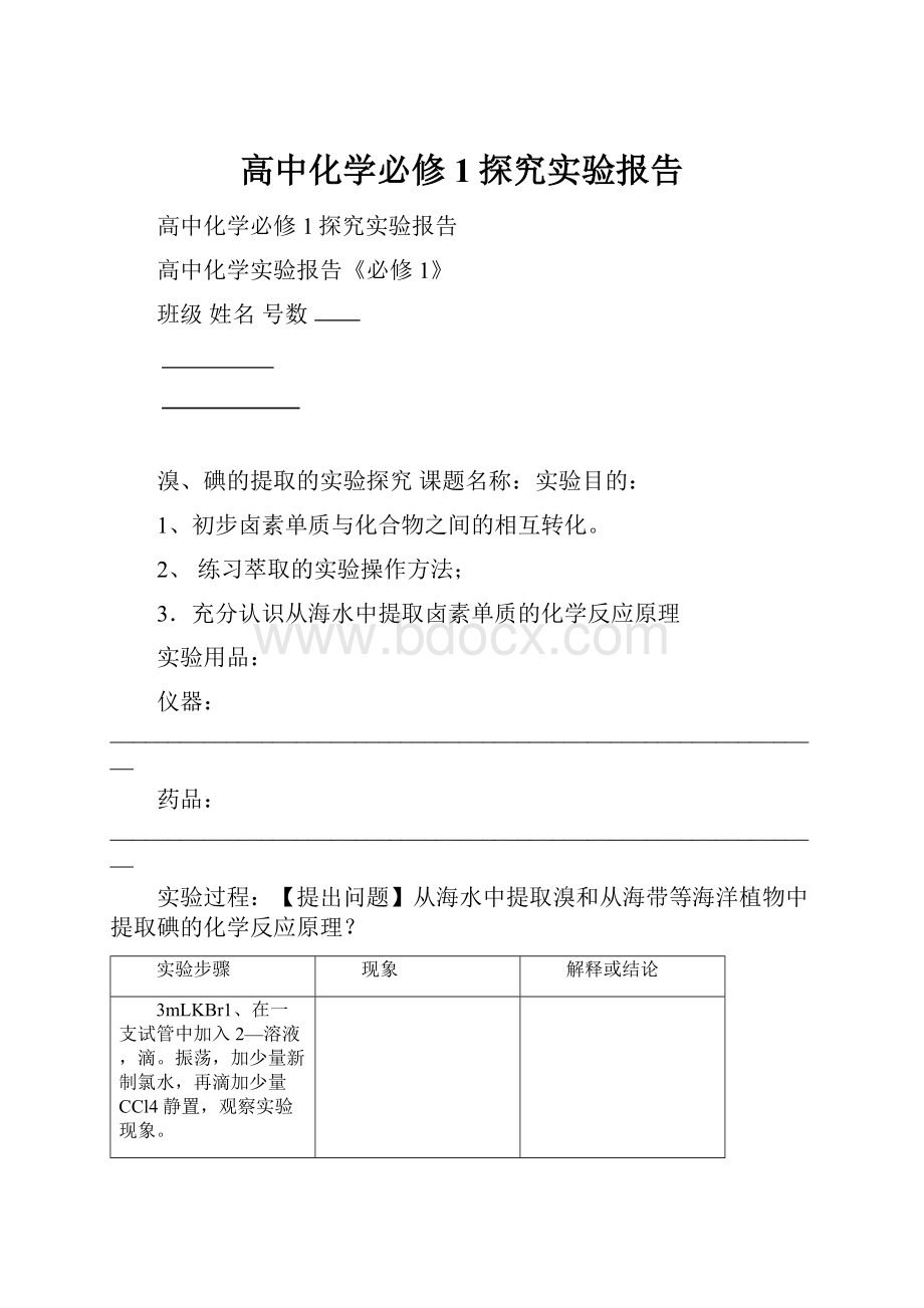 高中化学必修1探究实验报告.docx_第1页