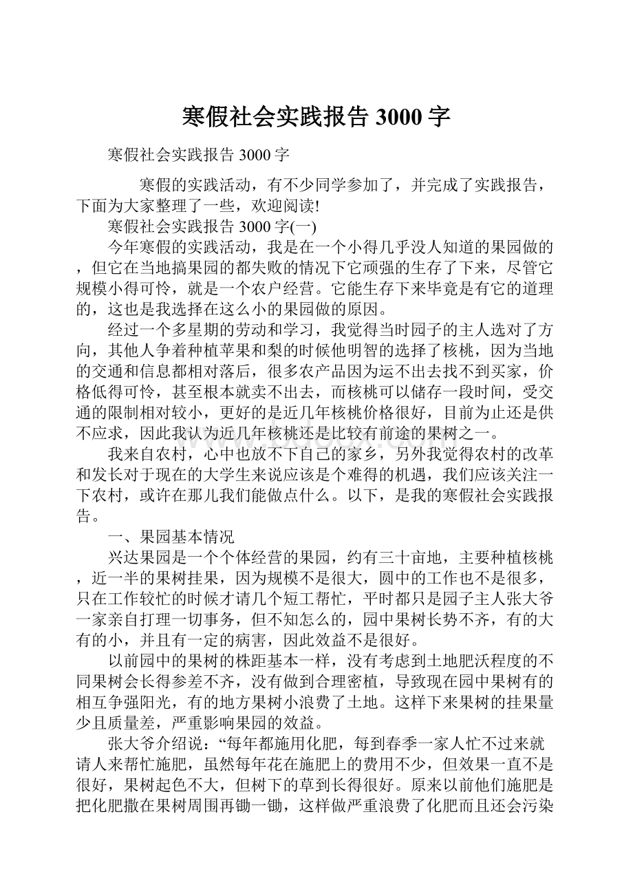 寒假社会实践报告3000字.docx_第1页