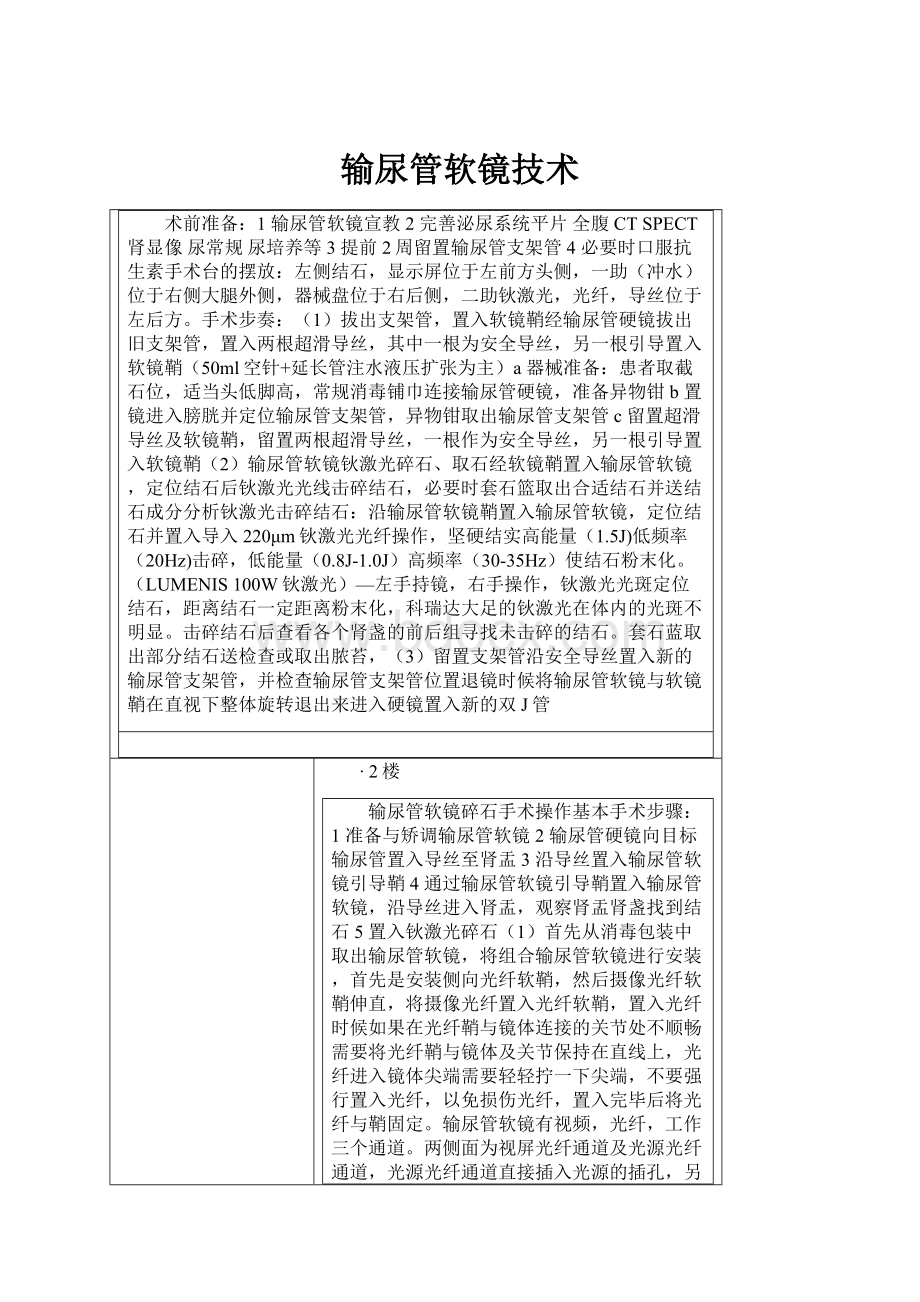 输尿管软镜技术.docx_第1页