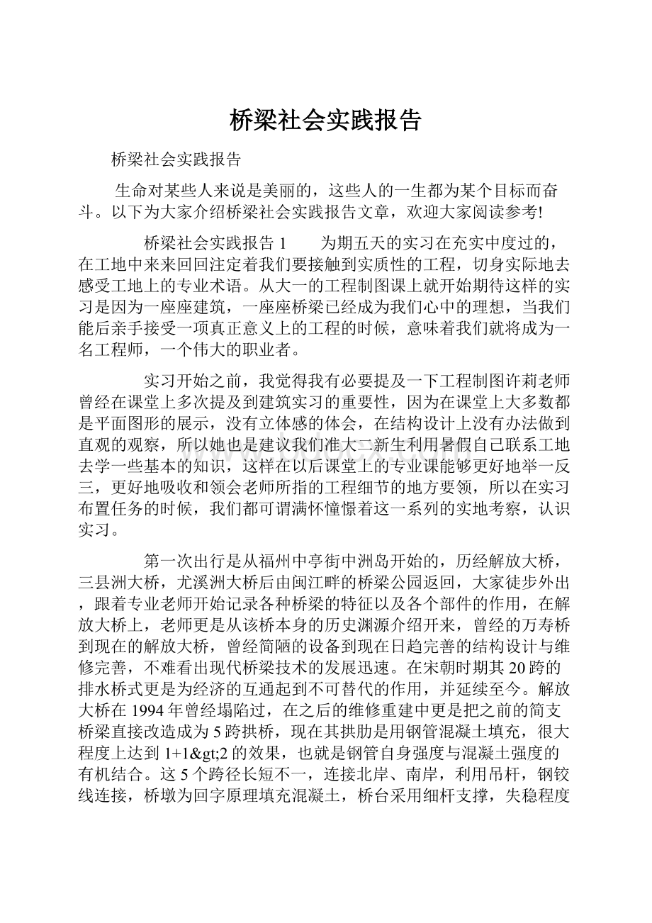 桥梁社会实践报告.docx