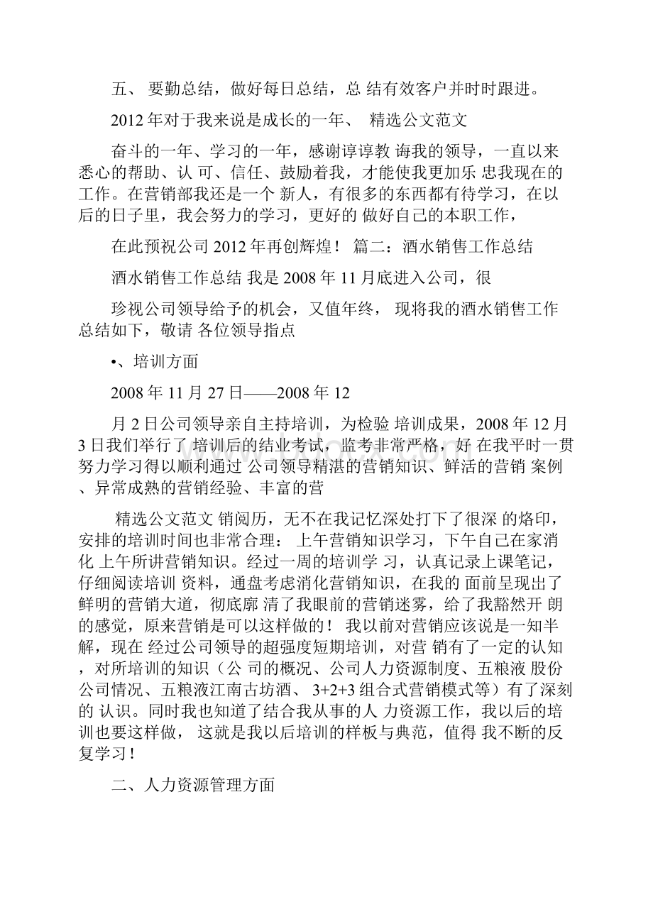 酒水销售年度总结.docx_第2页