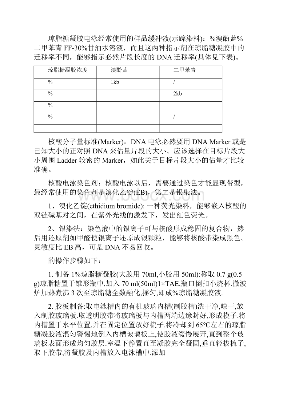 琼脂糖凝胶电泳1.docx_第3页