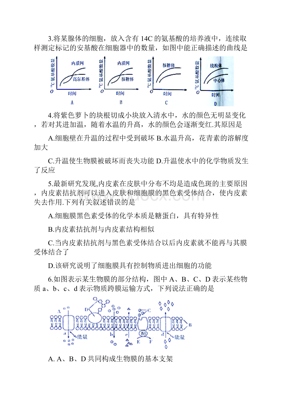 安徽省淮北市濉溪县学年高一下学期期末考试生物试题答案版.docx_第2页