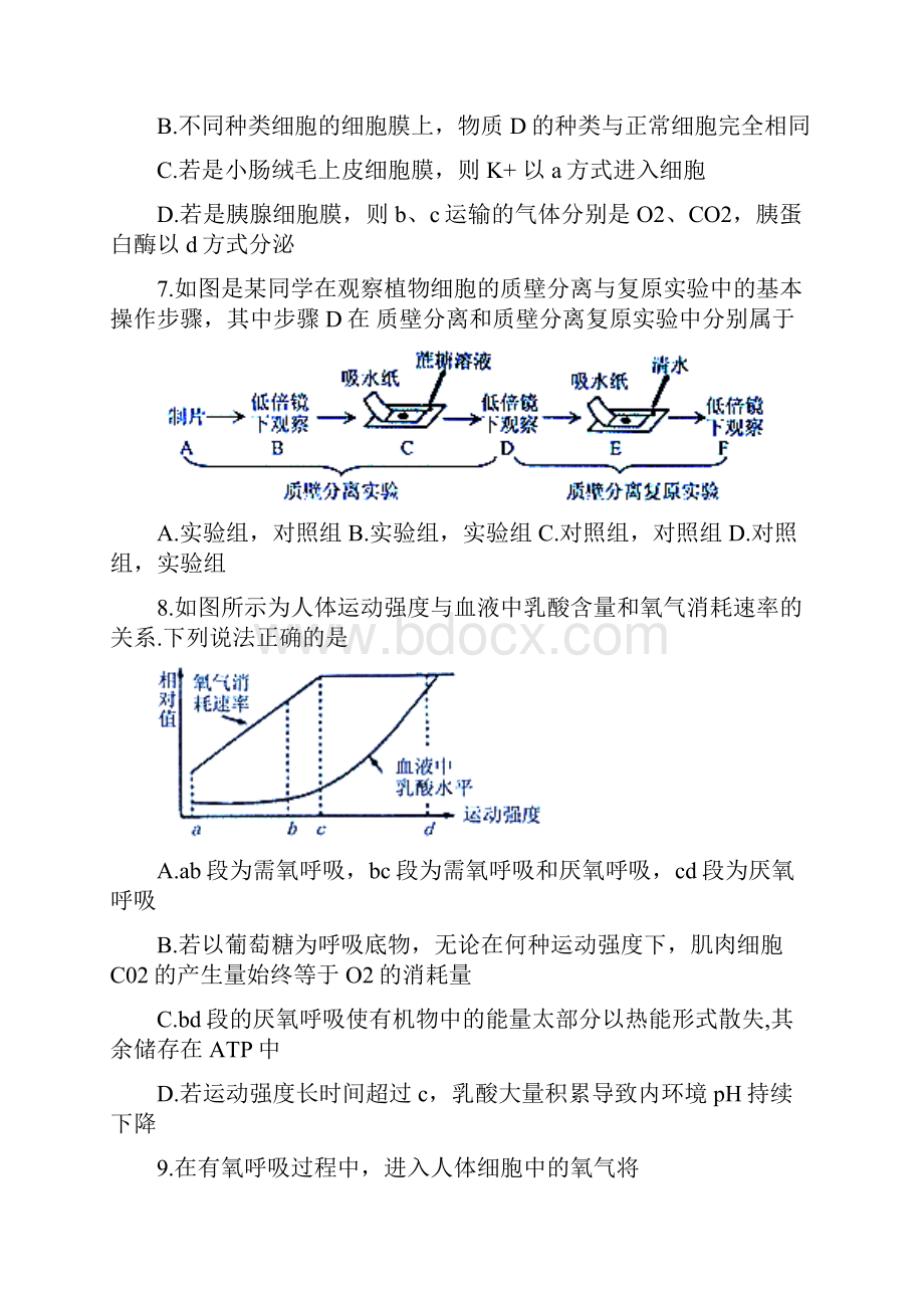 安徽省淮北市濉溪县学年高一下学期期末考试生物试题答案版.docx_第3页