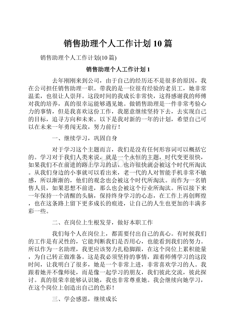 销售助理个人工作计划10篇.docx