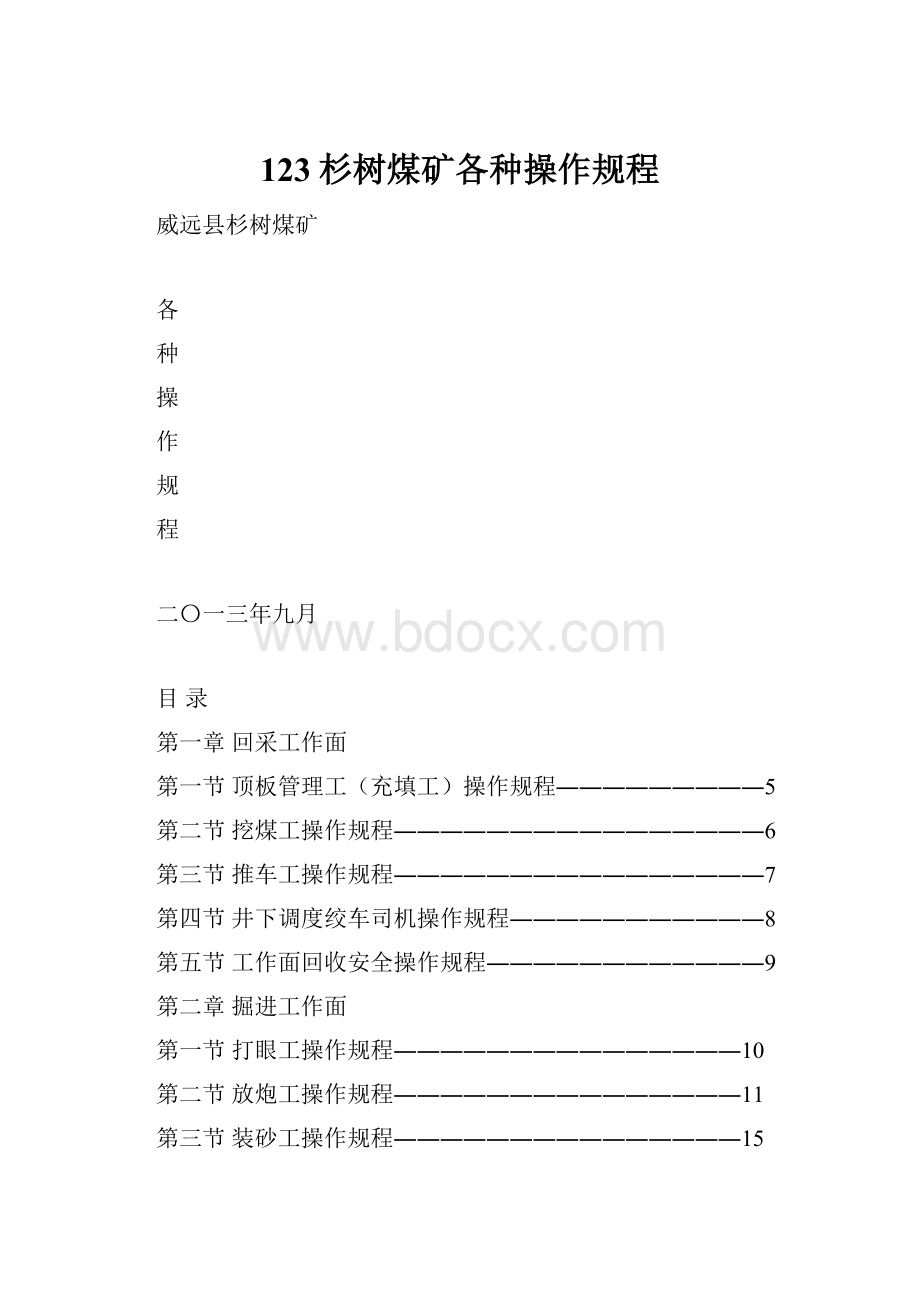 123杉树煤矿各种操作规程.docx