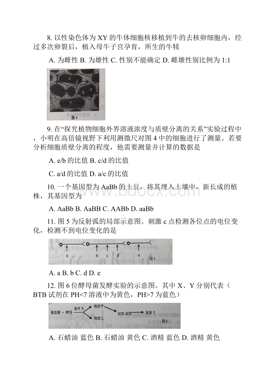 徐汇区高二高三第一学期期末一模学科质量检测生物试题及答案精编.docx_第3页