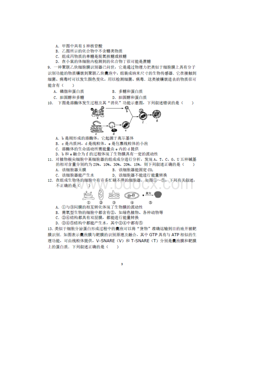 学年河北省唐山一中高二上学期调研考试生物试题扫描版.docx_第3页