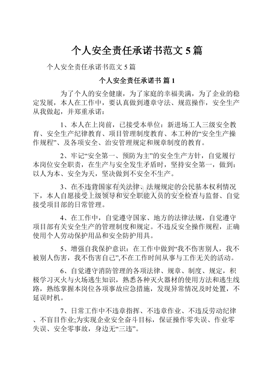 个人安全责任承诺书范文5篇.docx