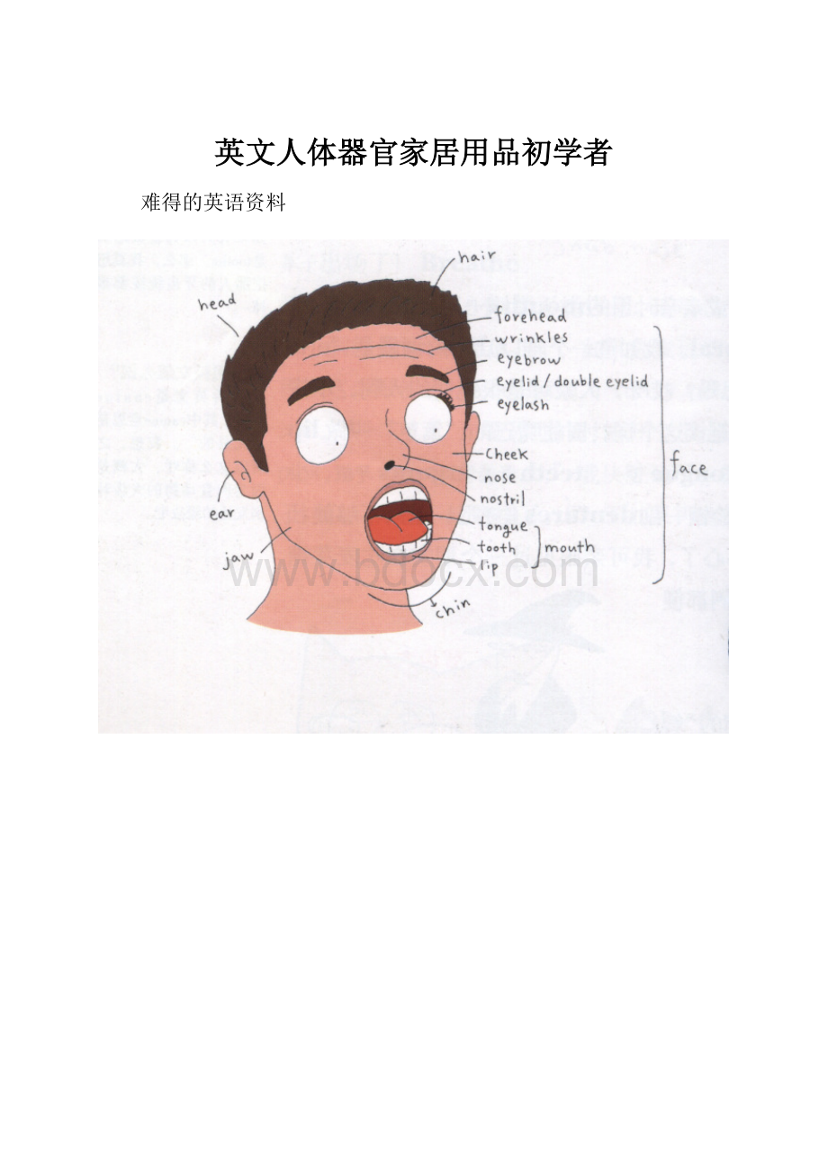 英文人体器官家居用品初学者.docx_第1页