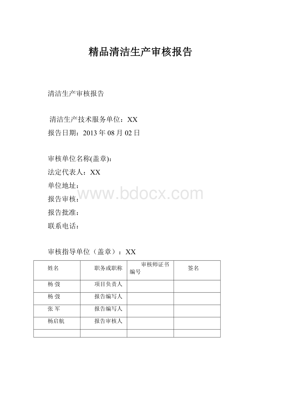 精品清洁生产审核报告.docx