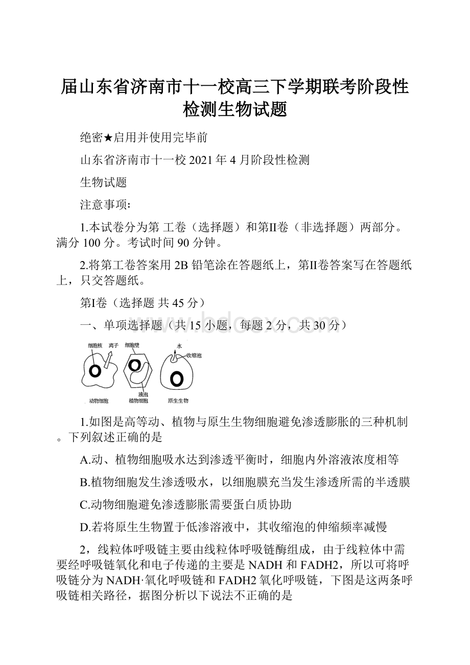 届山东省济南市十一校高三下学期联考阶段性检测生物试题.docx_第1页