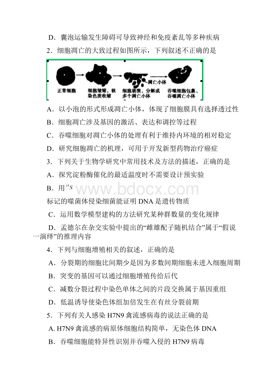 届山东省临沂市高三模拟考试 理科综合试题及答案.docx_第2页