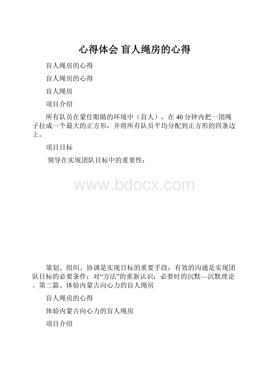 心得体会 盲人绳房的心得.docx