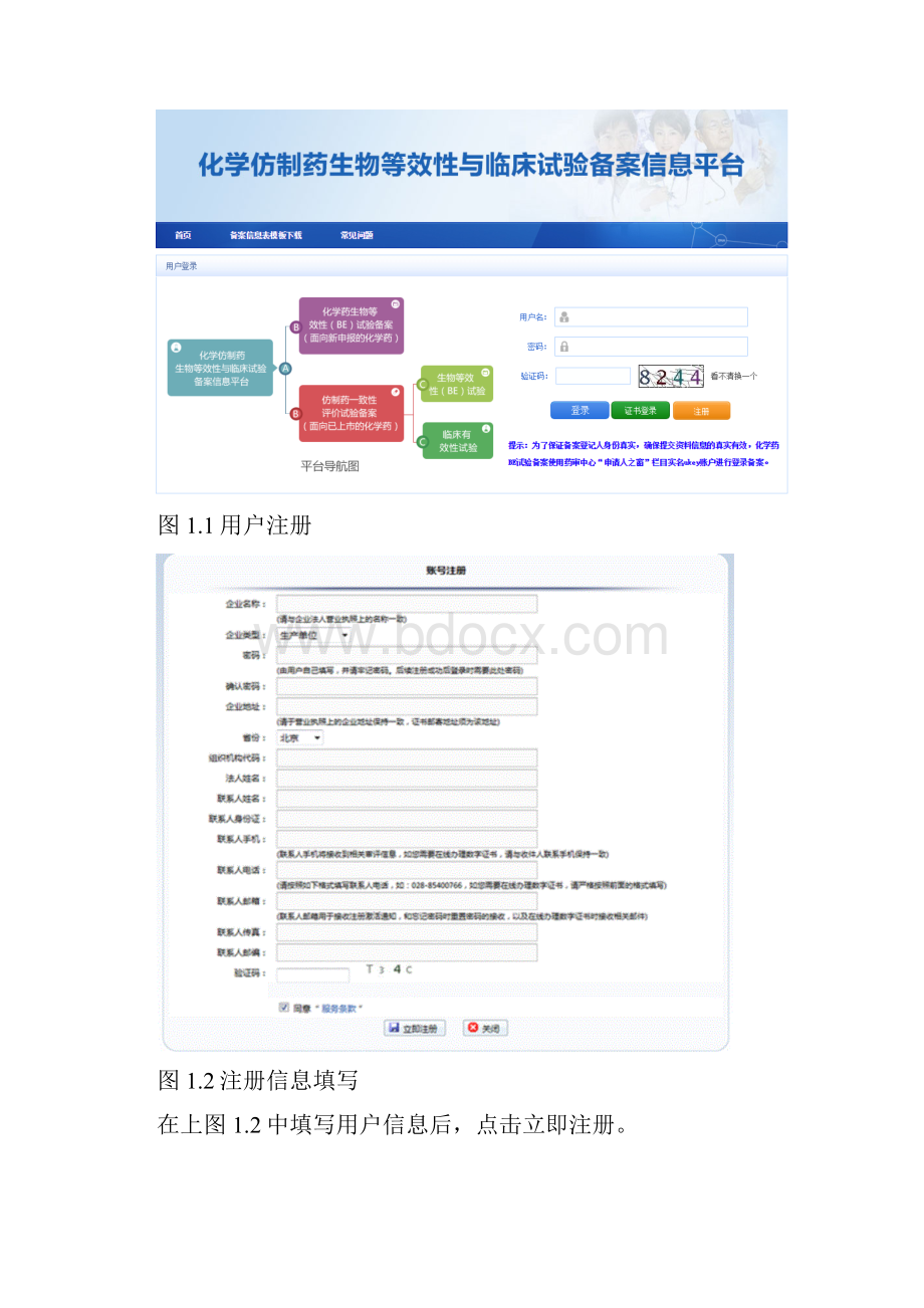 仿制药一致性评价试验备案填报说明.docx_第3页