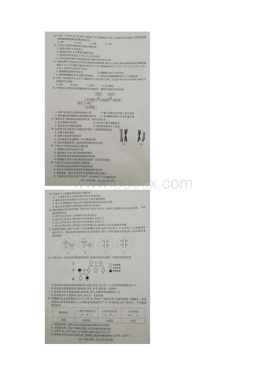 福建省厦门市学年高一下学期期末质量检测生物试题 含答案.docx_第3页