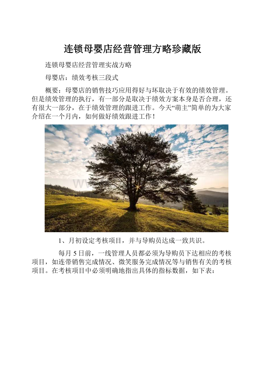 连锁母婴店经营管理方略珍藏版.docx