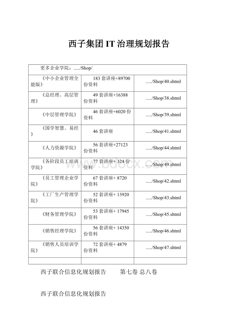 西子集团IT治理规划报告.docx