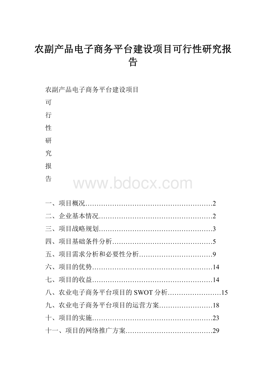 农副产品电子商务平台建设项目可行性研究报告.docx