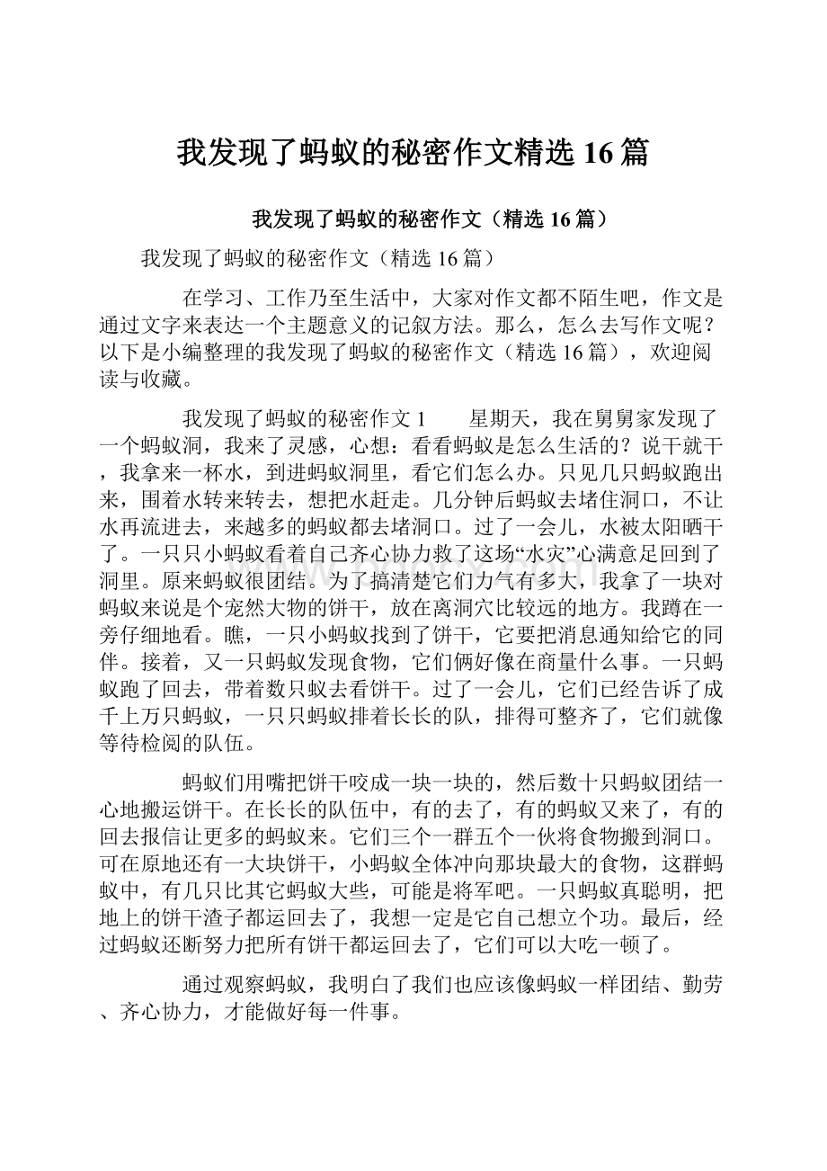 我发现了蚂蚁的秘密作文精选16篇.docx