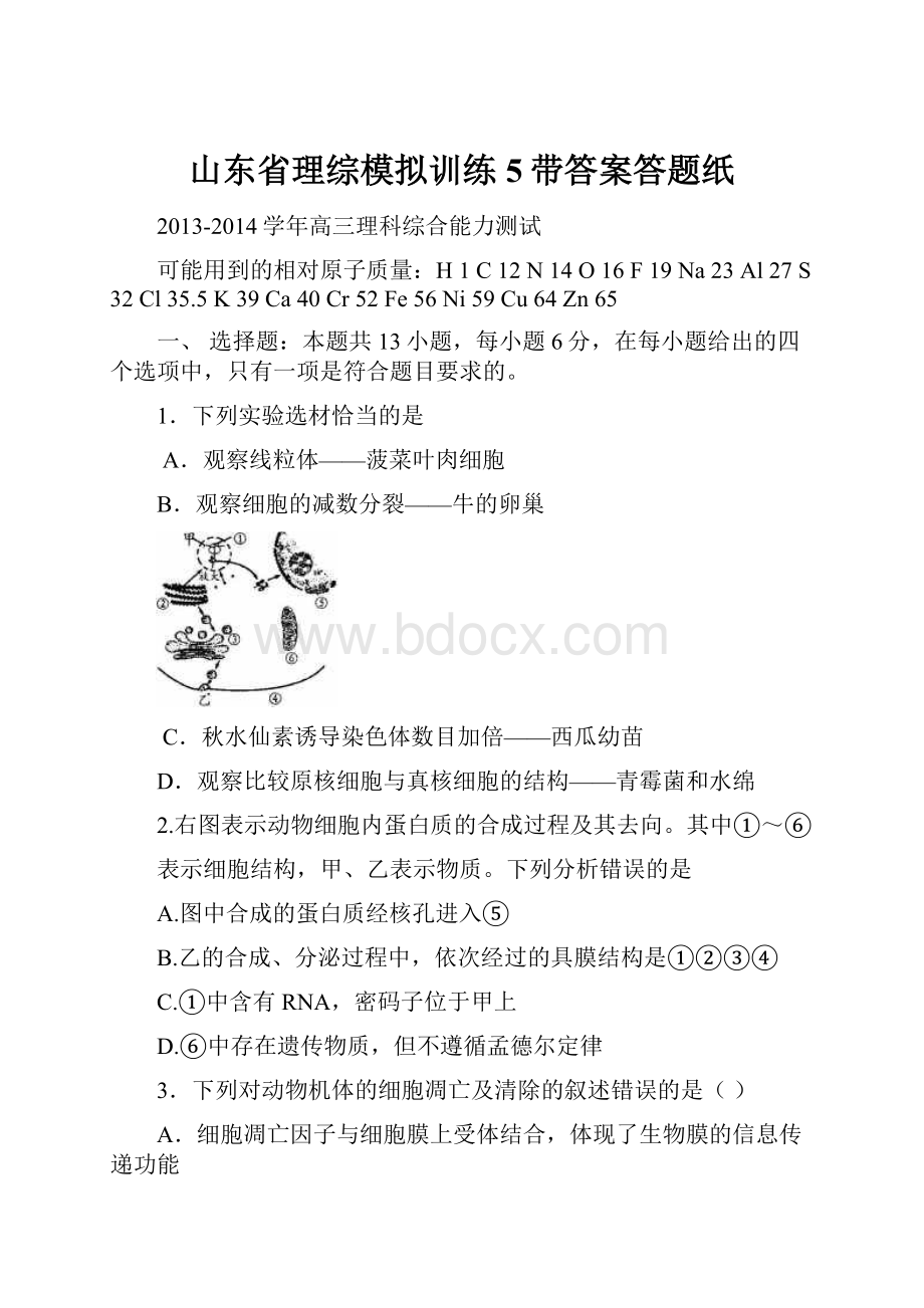 山东省理综模拟训练5带答案答题纸.docx