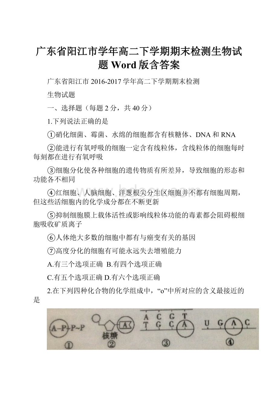 广东省阳江市学年高二下学期期末检测生物试题Word版含答案.docx