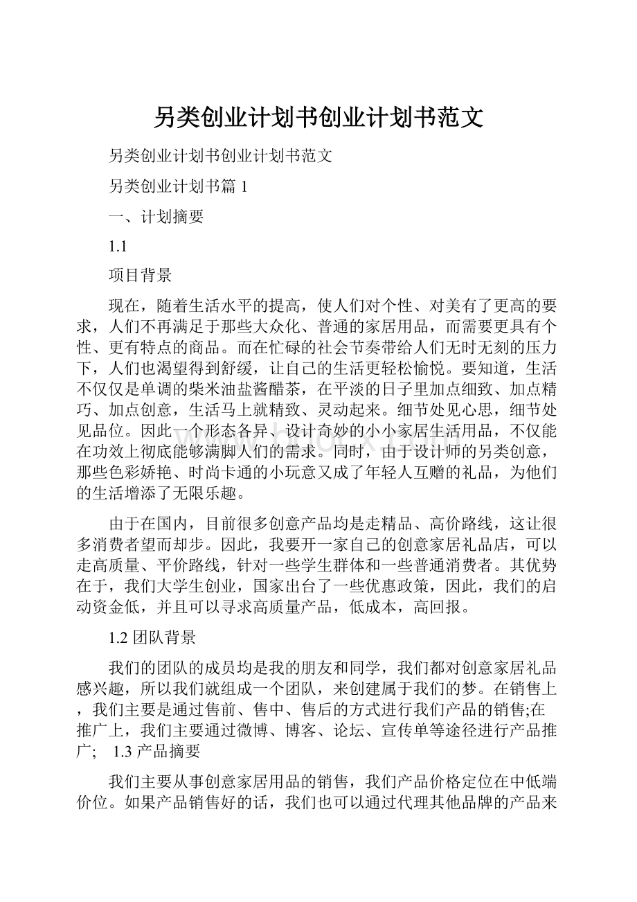 另类创业计划书创业计划书范文.docx